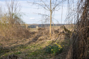 Sopocka Szkoła Fotografii WFH