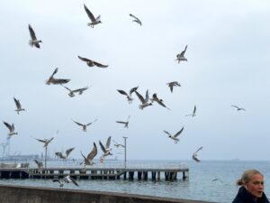 Sopocka Szkoła Fotografii WFH