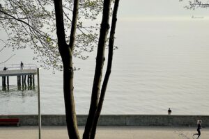 Sopocka Szkoła Fotografii WFH