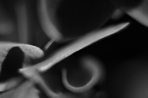 Sopocka Szkoła Fotografii WFH