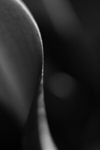 Sopocka Szkoła Fotografii WFH