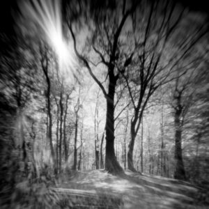 Sopocka Szkoła Fotografii WFH