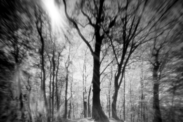 Sopocka Szkoła Fotografii WFH